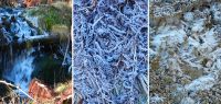 07 preziosen der natur - eisbildung - schneekristalle an farn - erdeisblumen
